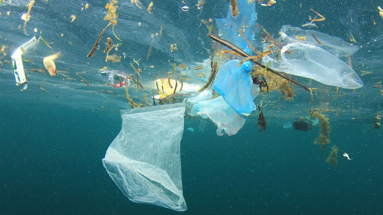 How does plastic actually find its way to our oceans?